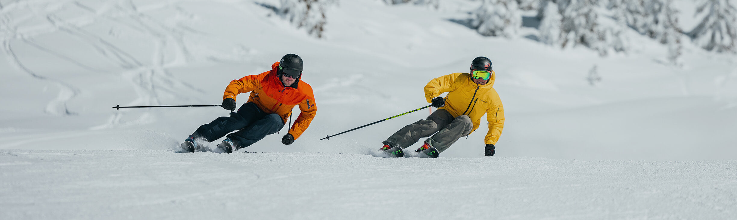 Men's Skis - On Piste – Elan Sports