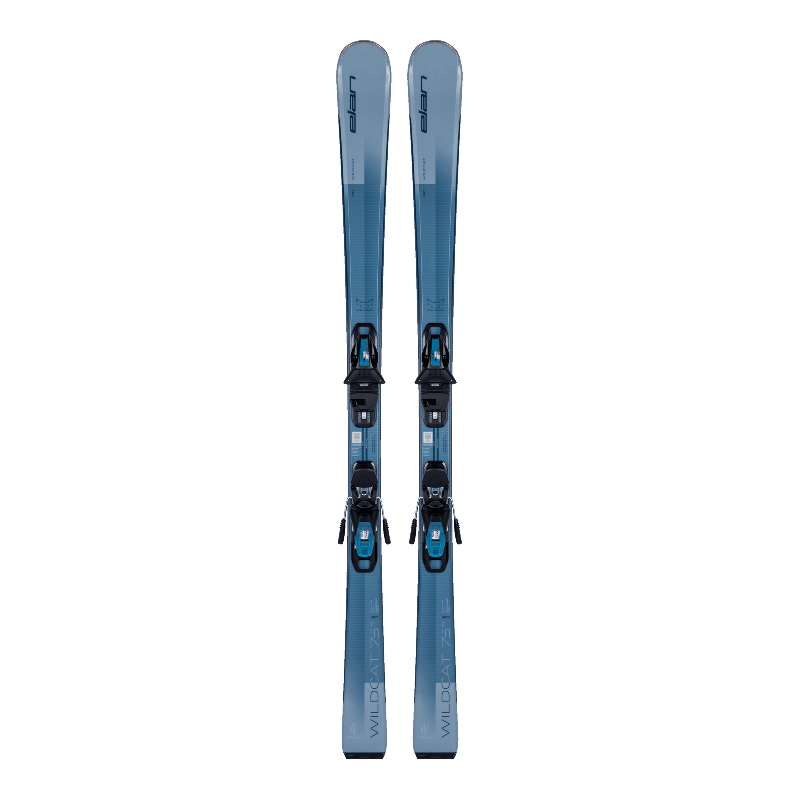 WILDCAT 75 TI BLUE