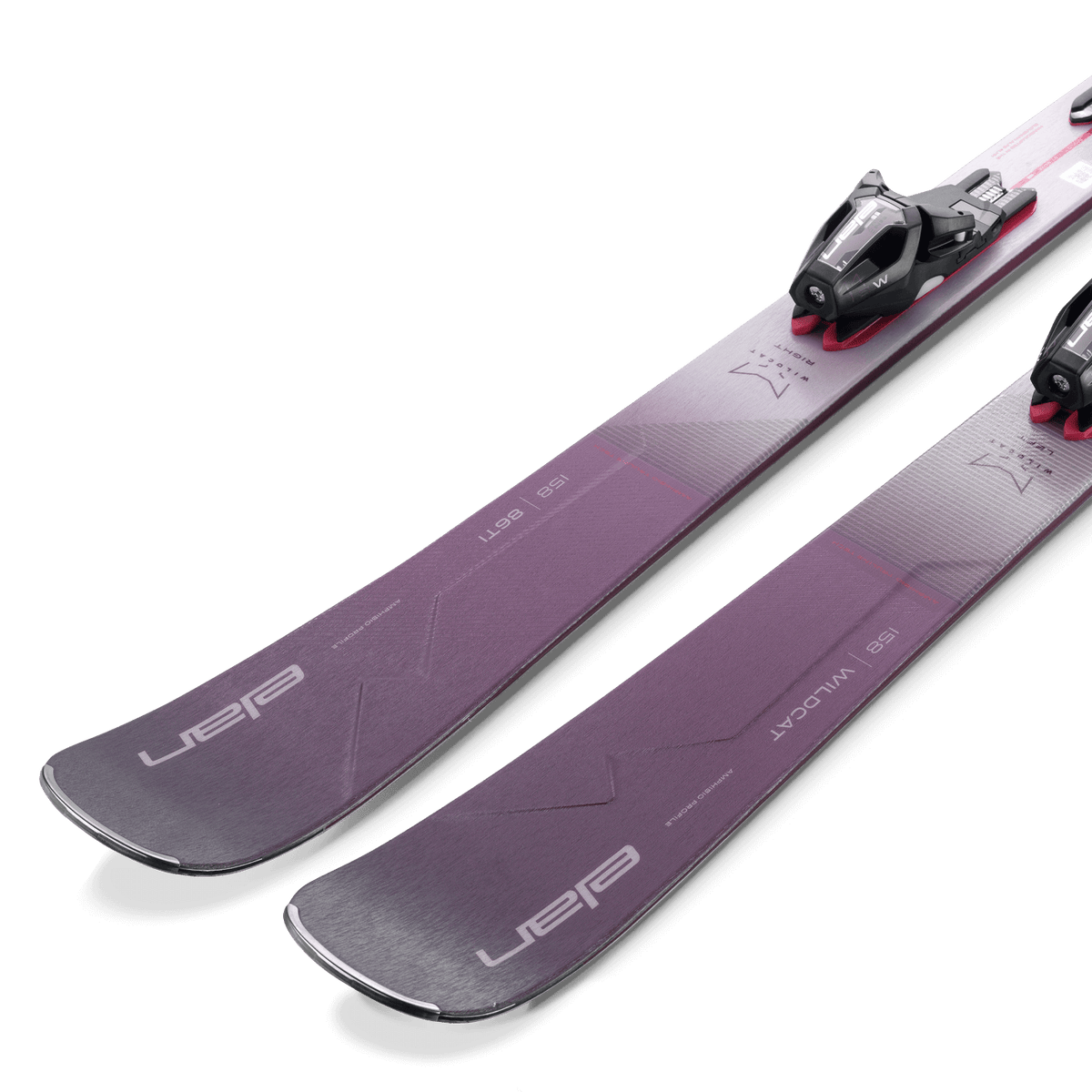 WILDCAT 86 TI (2024)