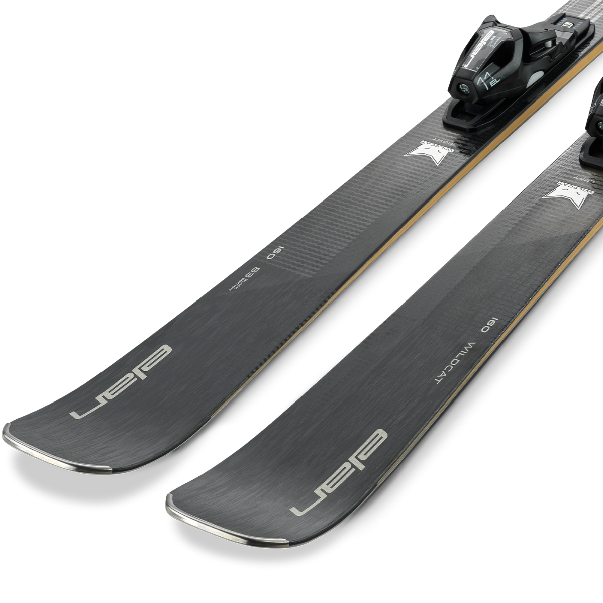 WILDCAT 83 BLACK EDITION