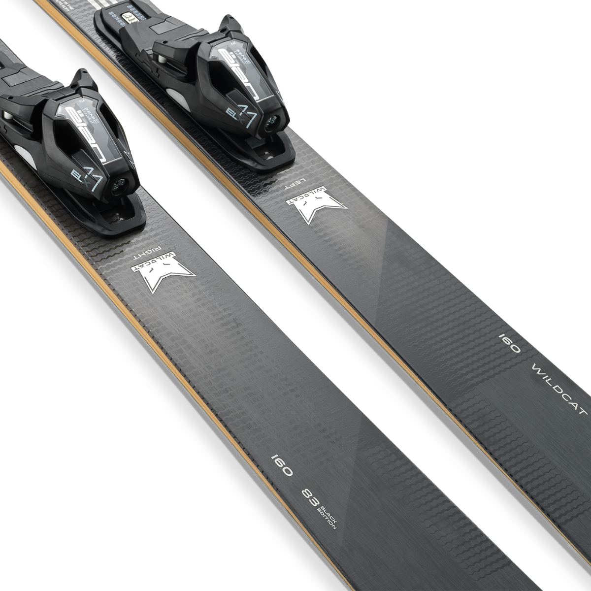 WILDCAT 83 BLACK EDITION