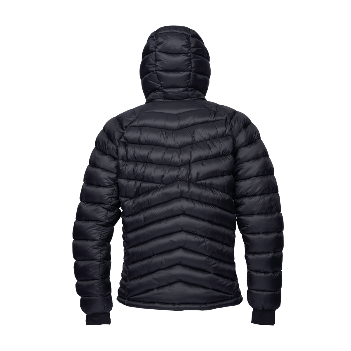 ELAN PADDED JACKET BLACK