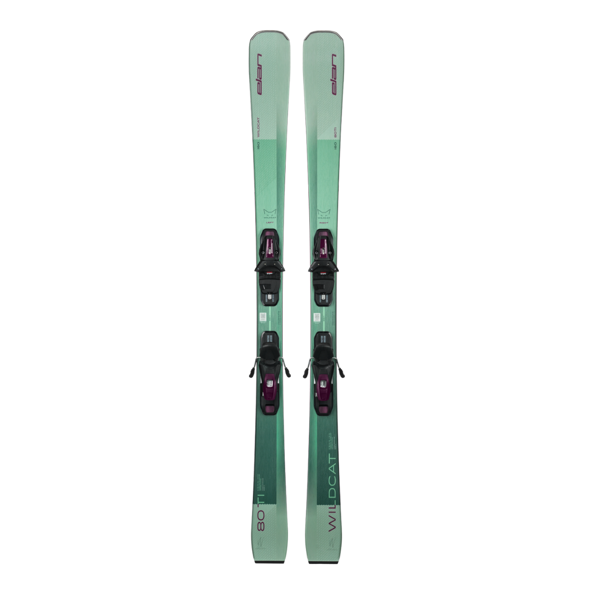 WILDCAT 80 TI